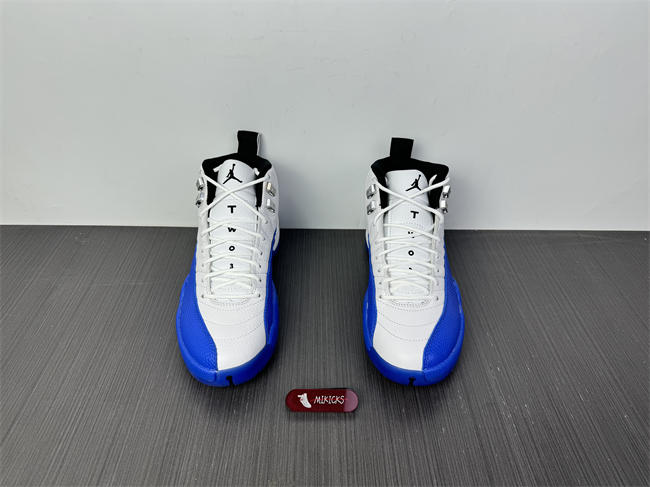 Air Jordan 12 Blueberry CT8013-140