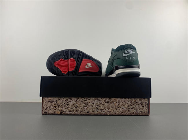 Jordan 4 RM SP Nigel Sylvester Grandma